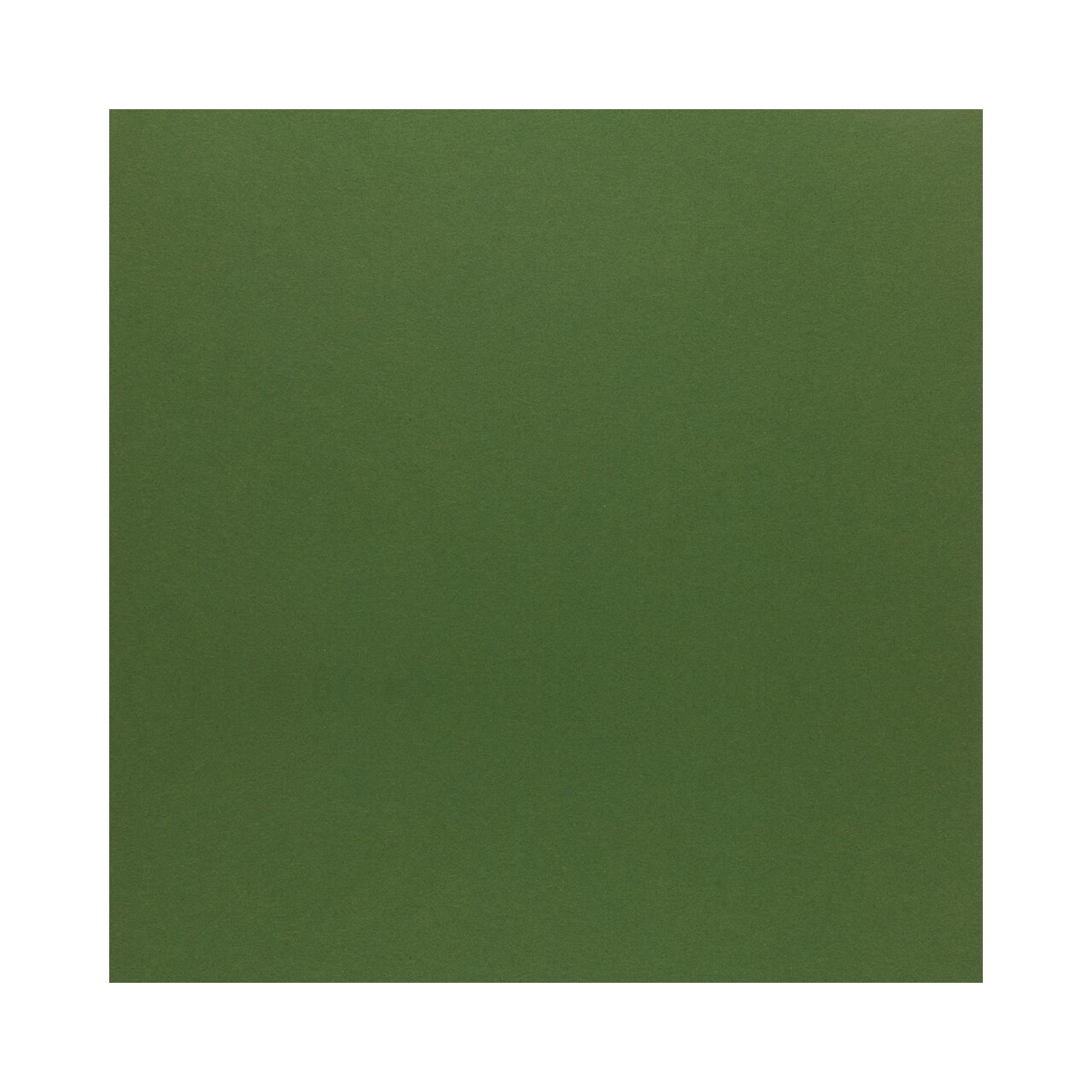 PA Paper Accents Stash Builder Cardstock 12" x 12" Parrot, 65lb colored cardstock paper for card making, scrapbooking, printing, quilling and crafts, 1000 piece box